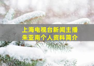 上海电视台新闻主播朱亚南个人资料简介