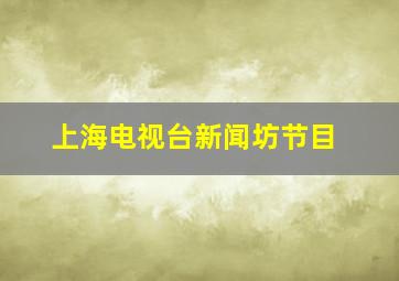 上海电视台新闻坊节目