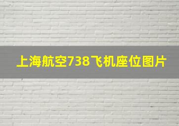 上海航空738飞机座位图片