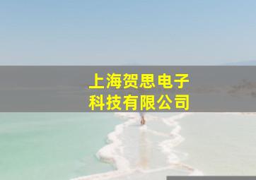 上海贺思电子科技有限公司