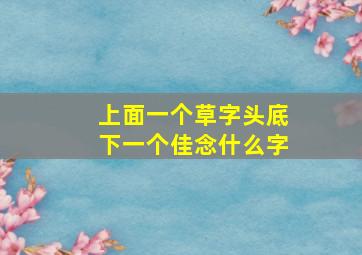 上面一个草字头底下一个佳念什么字