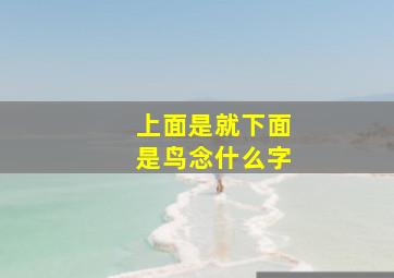 上面是就下面是鸟念什么字