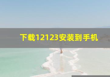 下载12123安装到手机