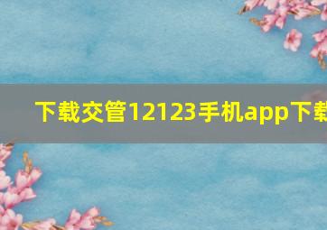 下载交管12123手机app下载