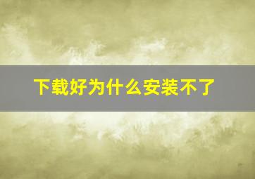 下载好为什么安装不了