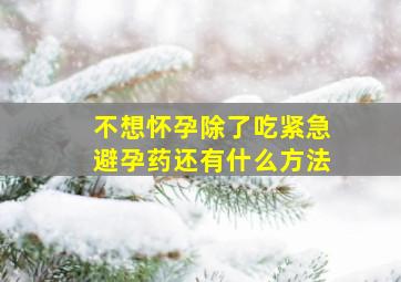 不想怀孕除了吃紧急避孕药还有什么方法