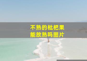 不熟的枇杷果能放熟吗图片