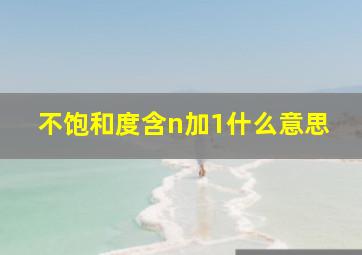 不饱和度含n加1什么意思