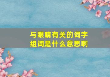 与眼睛有关的词字组词是什么意思啊