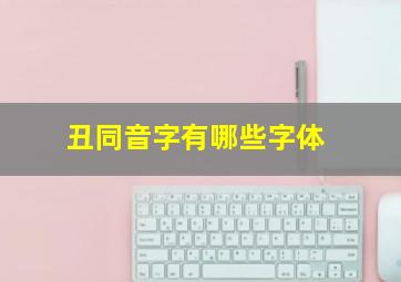 丑同音字有哪些字体