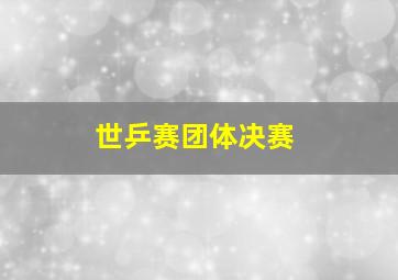 世乒赛团体决赛