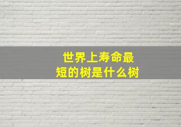 世界上寿命最短的树是什么树