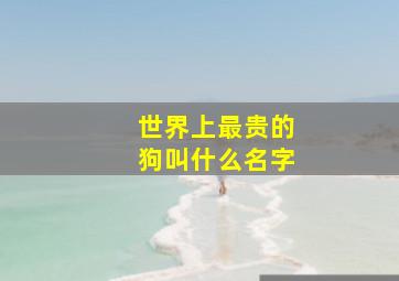 世界上最贵的狗叫什么名字