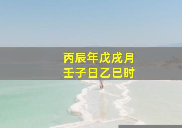 丙辰年戊戌月壬子日乙巳时