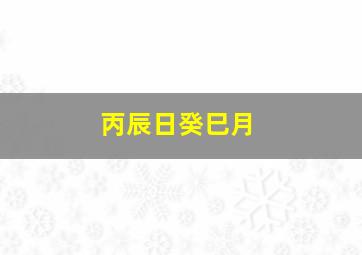 丙辰日癸巳月