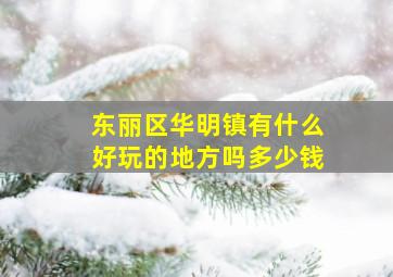 东丽区华明镇有什么好玩的地方吗多少钱