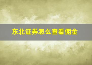 东北证券怎么查看佣金