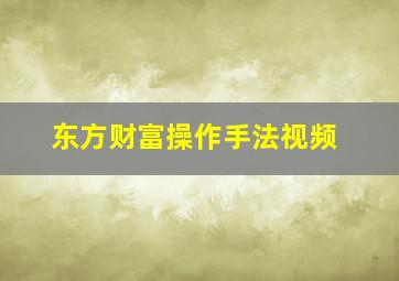 东方财富操作手法视频