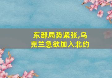 东部局势紧张,乌克兰急欲加入北约