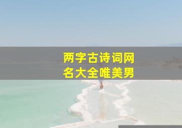 两字古诗词网名大全唯美男