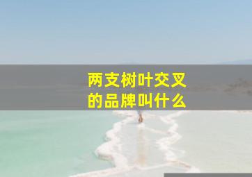 两支树叶交叉的品牌叫什么