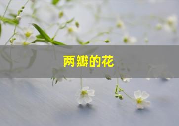 两瓣的花