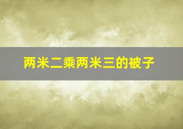 两米二乘两米三的被子