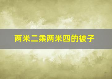 两米二乘两米四的被子