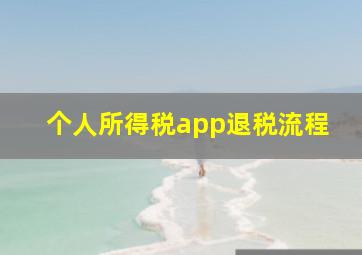 个人所得税app退税流程