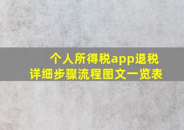 个人所得税app退税详细步骤流程图文一览表