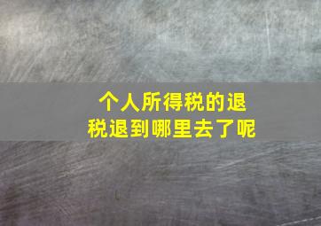 个人所得税的退税退到哪里去了呢