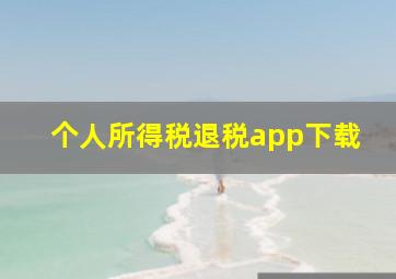 个人所得税退税app下载