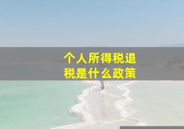 个人所得税退税是什么政策