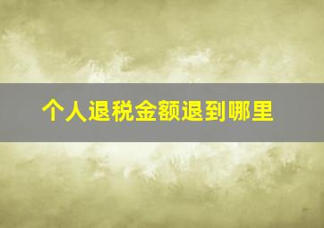 个人退税金额退到哪里