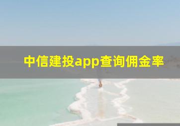 中信建投app查询佣金率