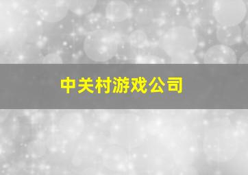 中关村游戏公司