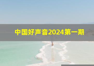 中国好声音2024第一期