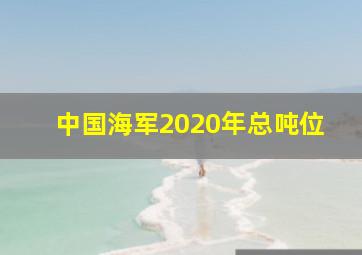 中国海军2020年总吨位