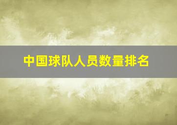 中国球队人员数量排名