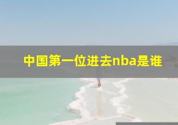 中国第一位进去nba是谁