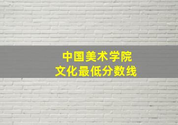 中国美术学院文化最低分数线