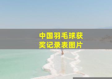 中国羽毛球获奖记录表图片