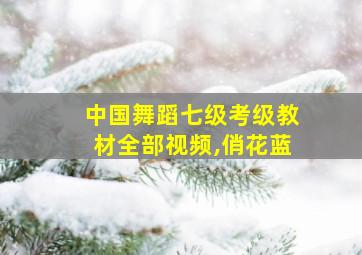 中国舞蹈七级考级教材全部视频,俏花蓝