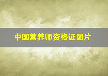 中国营养师资格证图片