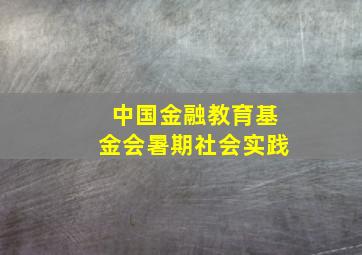 中国金融教育基金会暑期社会实践