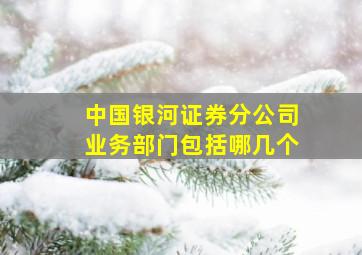 中国银河证券分公司业务部门包括哪几个