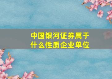 中国银河证券属于什么性质企业单位