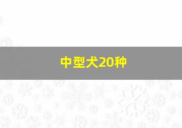 中型犬20种