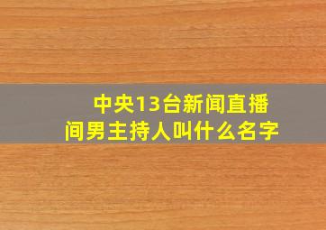 中央13台新闻直播间男主持人叫什么名字