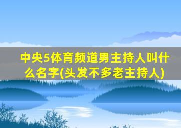 中央5体育频道男主持人叫什么名字(头发不多老主持人)